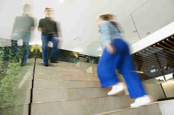 Afbeelding - Professional search