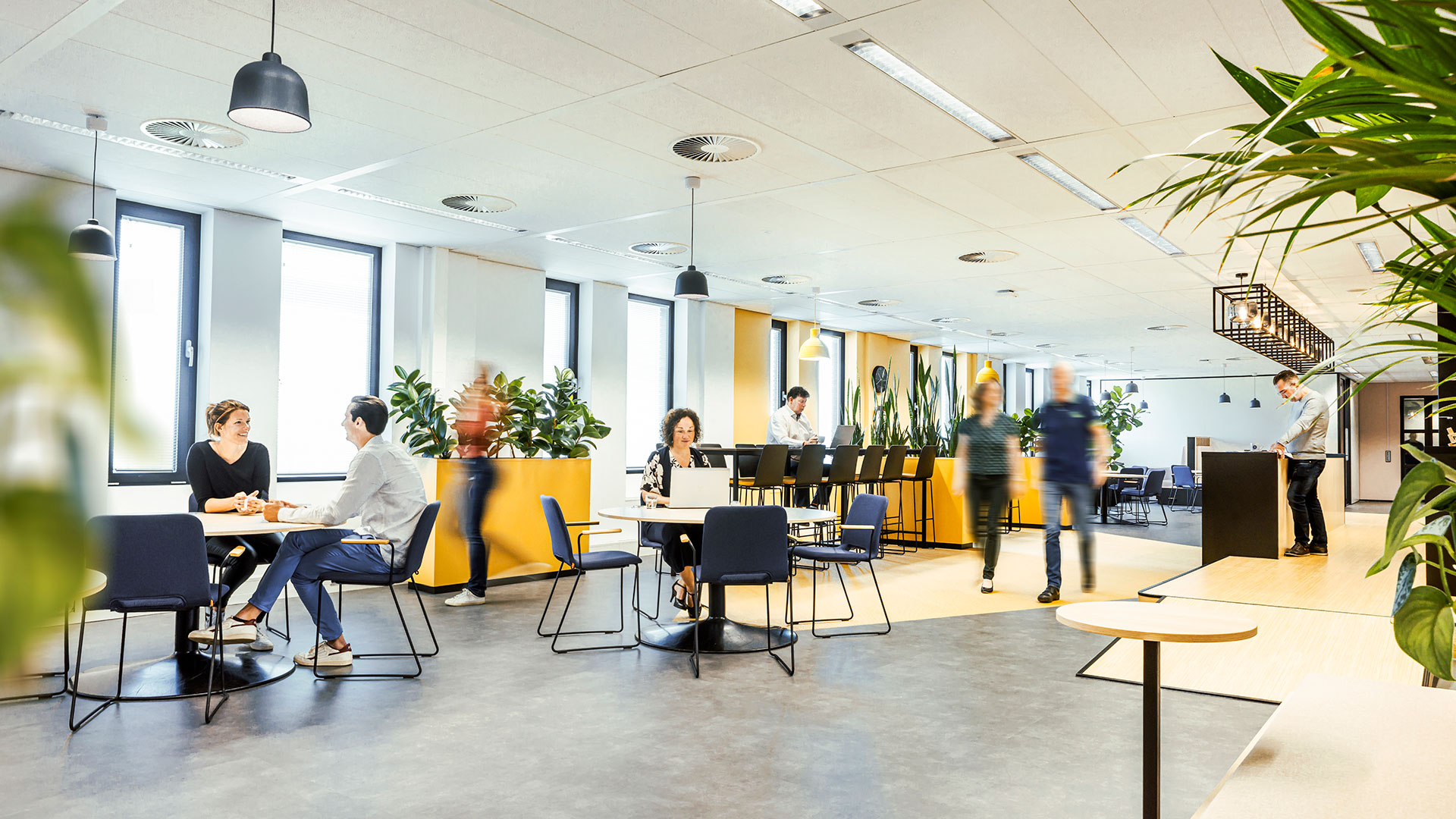 Afbeelding - Werken bij Berenschot