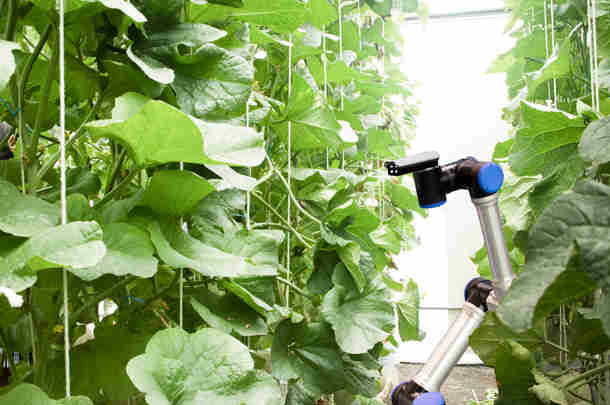 Subsidie voor innovatie in agro-robotica 